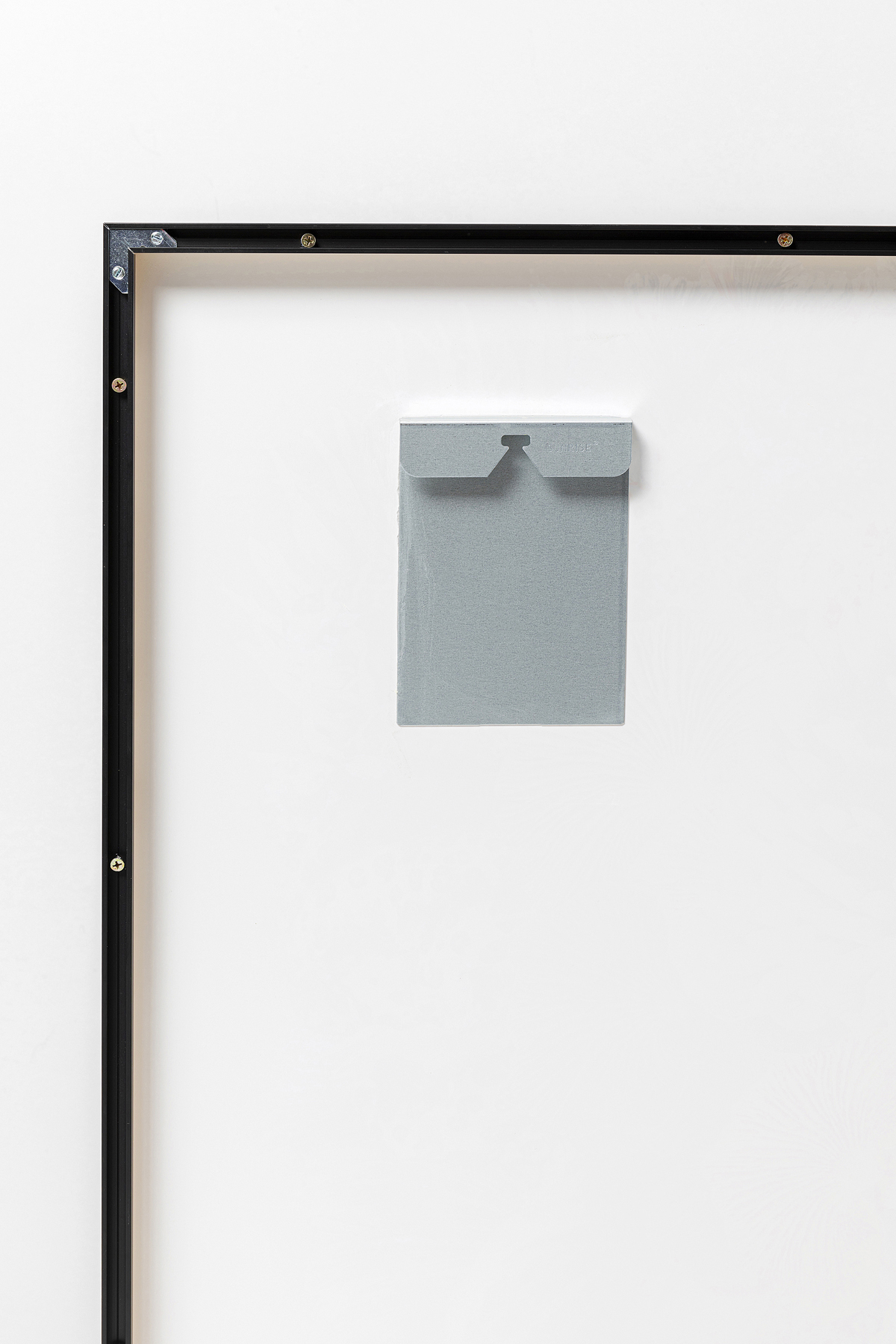 Gerahmtes Bild Flower Hair - Accessoires