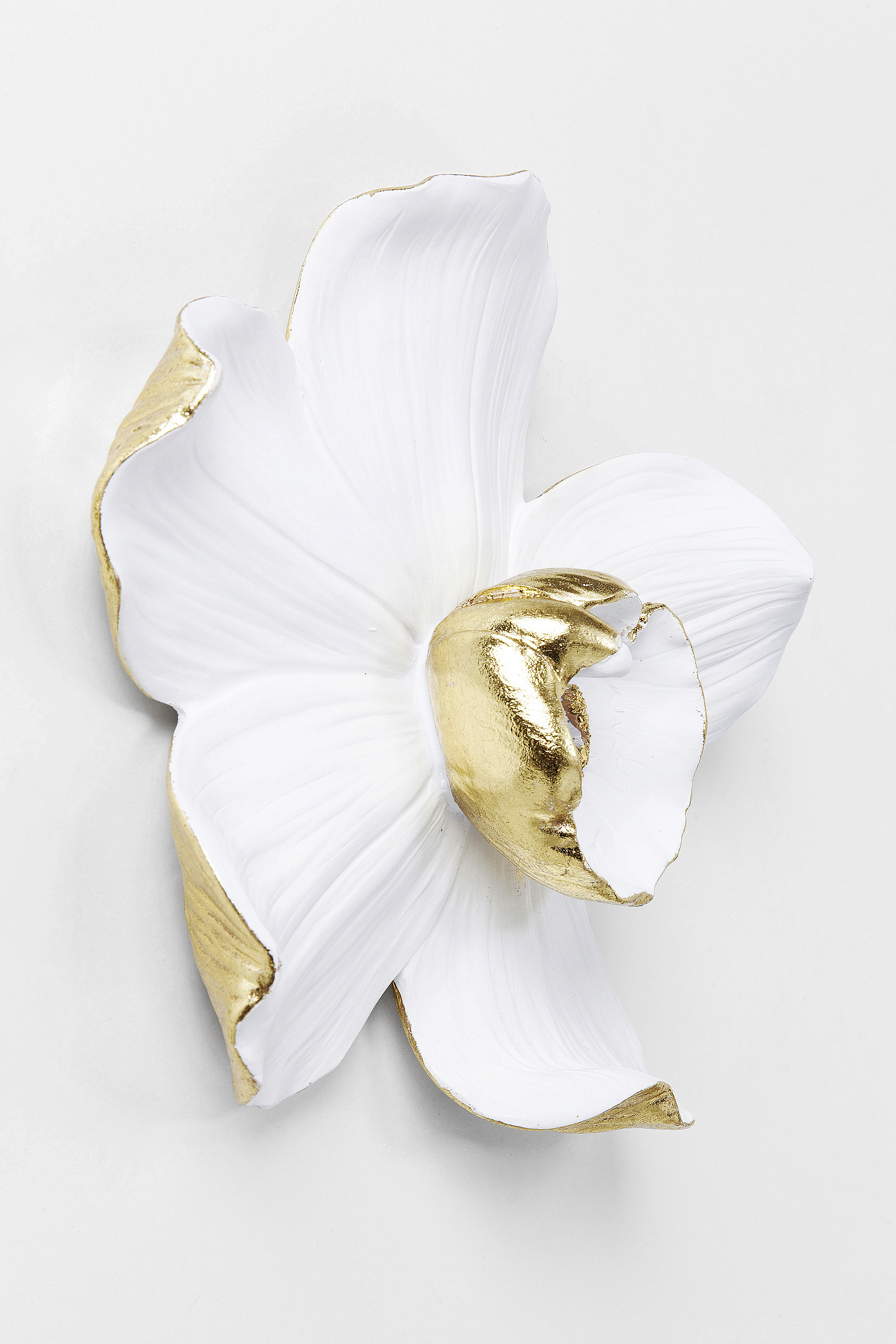 Wandschmuck Orchid weiß 25cm - Cracked