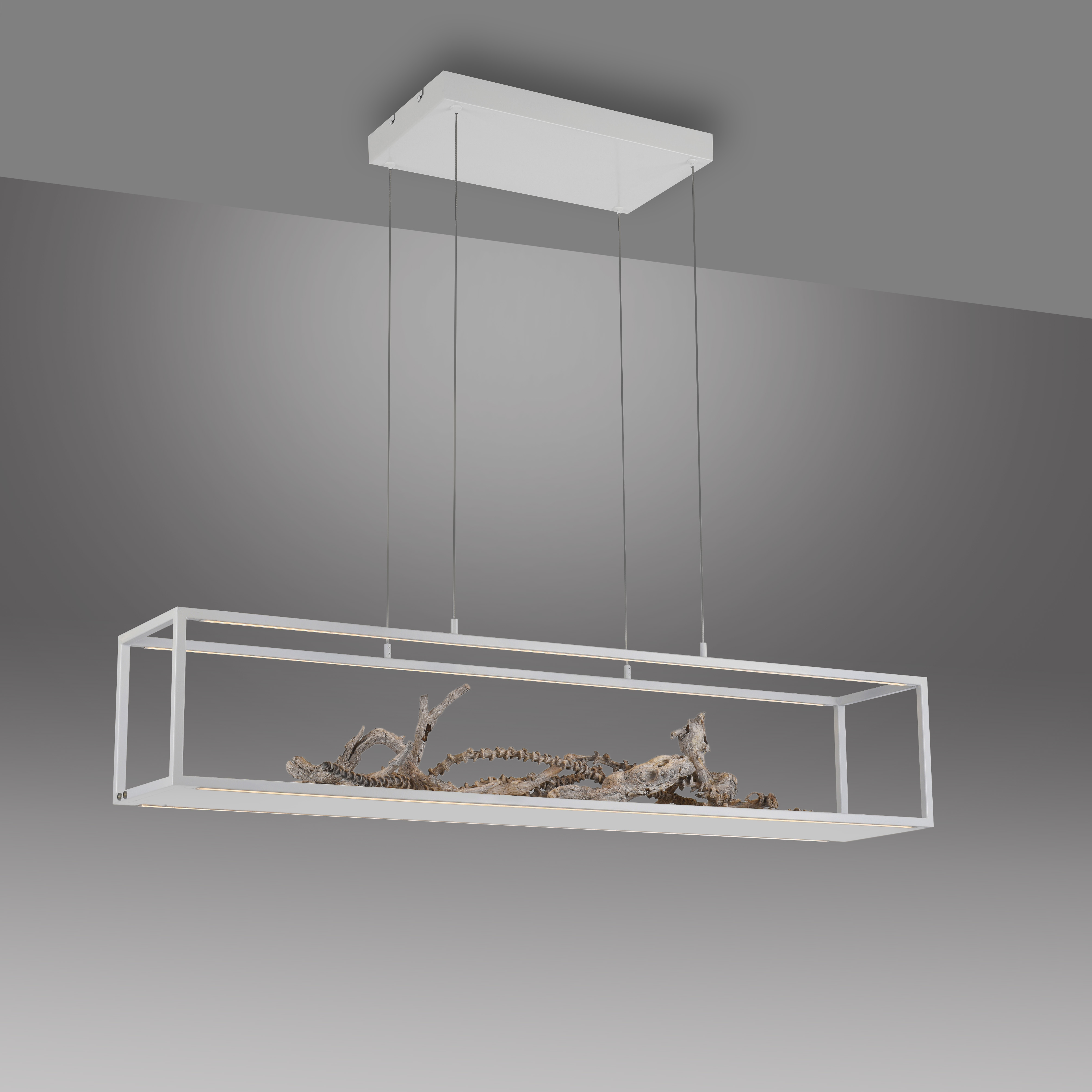 Pendelleuchte Contura - weiß, 4xLED 8W