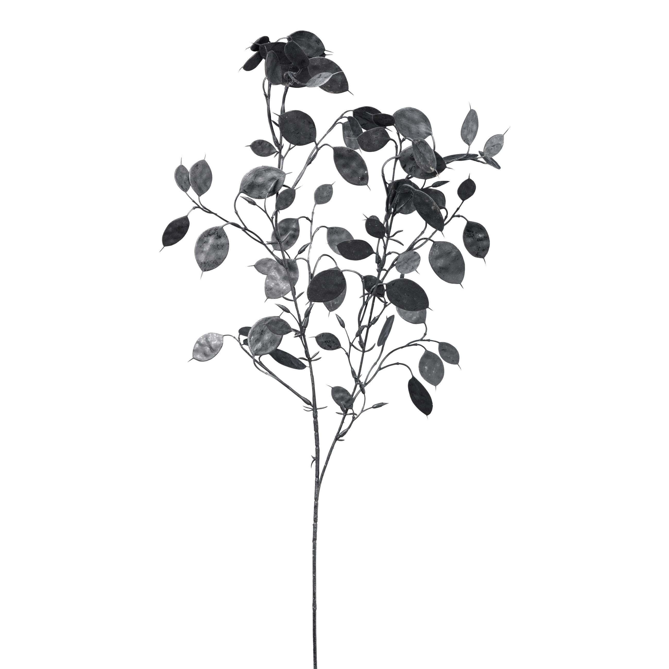 Kunsteukalyptus - Eucalyptuszweig, 78 cm, schwarz