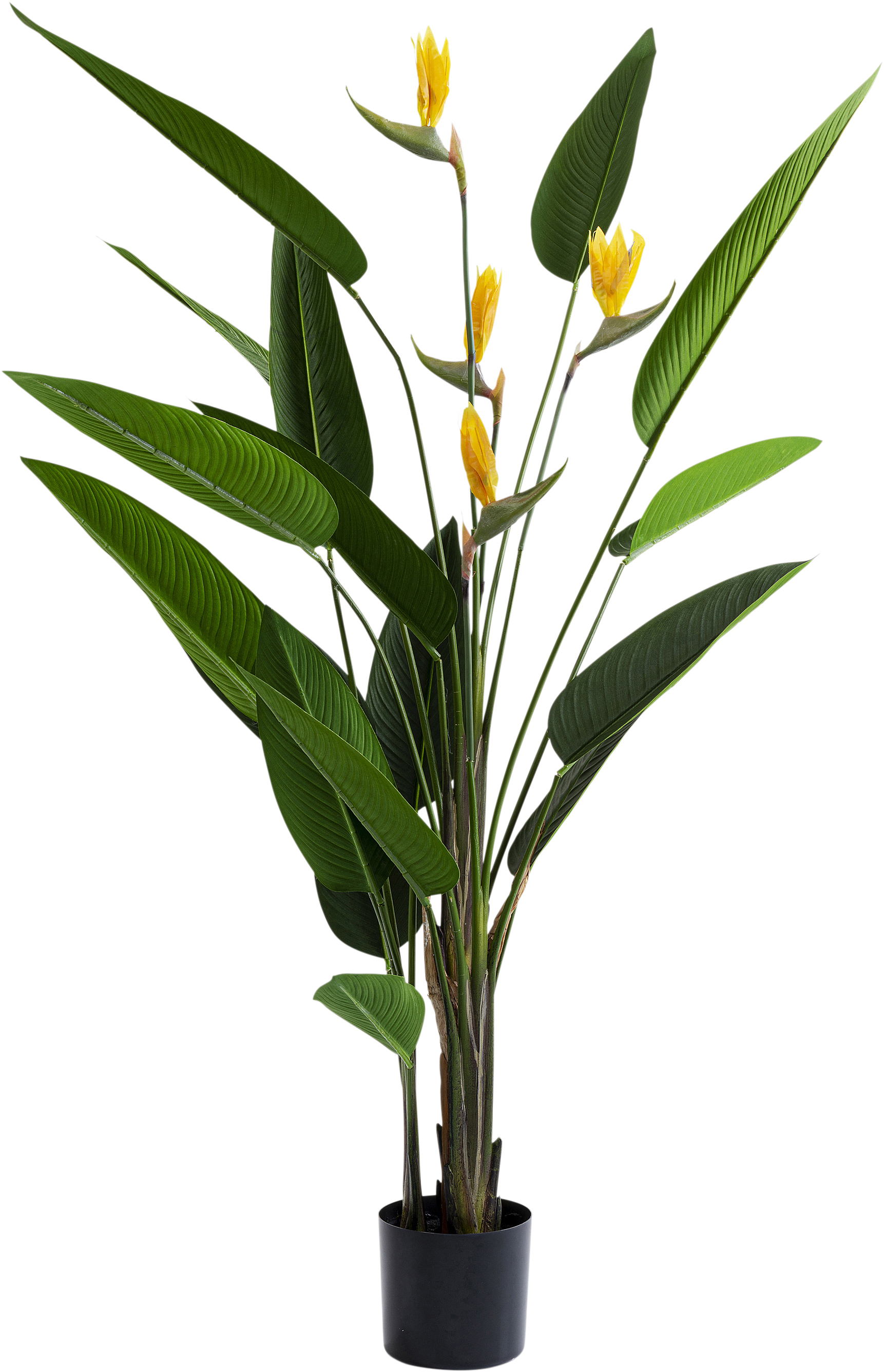 Deko Pflnaze Paradise Flowers - Accessoires