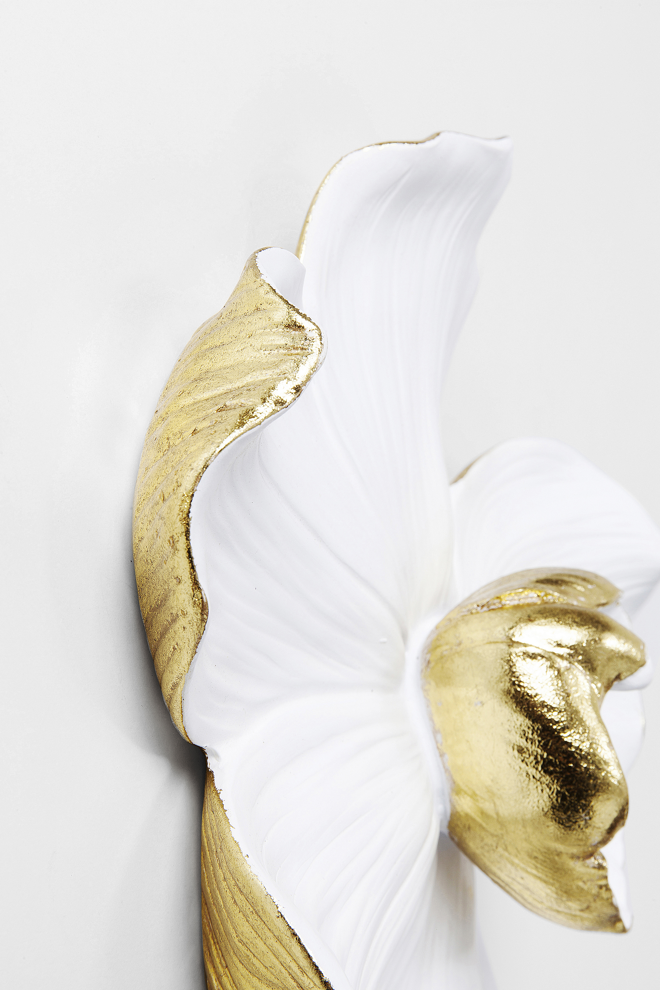 Wandschmuck Orchid weiß 25cm - Cracked