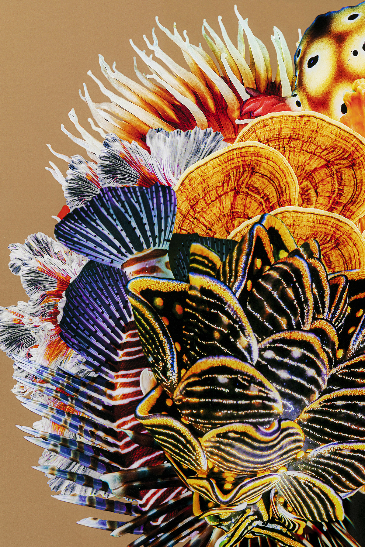 Gerahmtes Bild Flower Hair - Accessoires