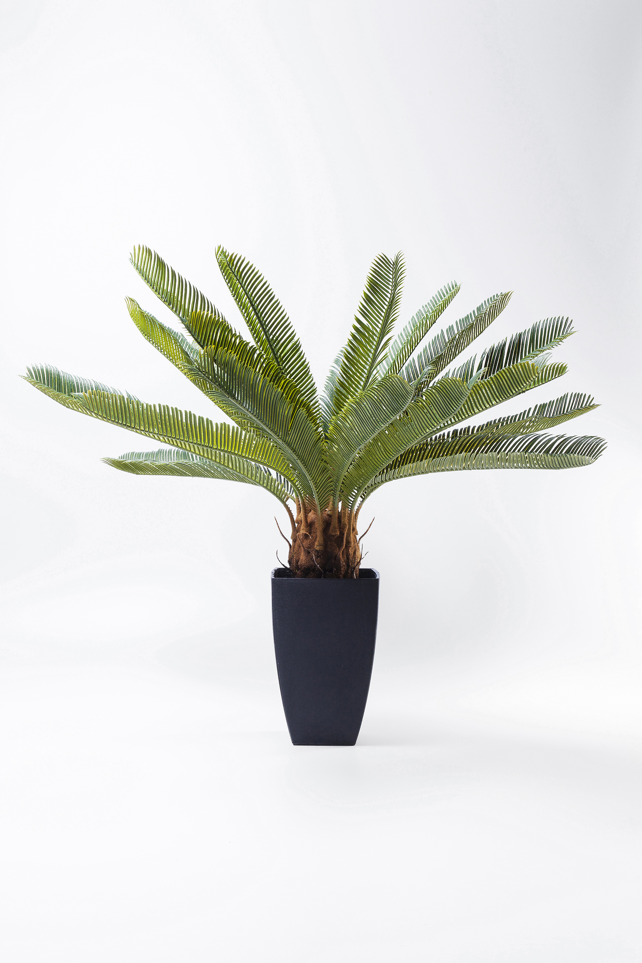 Deko Pflanze Cycas Tree - Accessoires