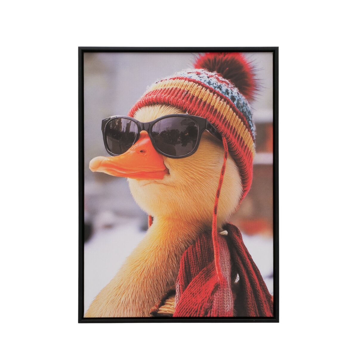 Bild Oscar, Kunstdruck, Ente - B 40,00 cm