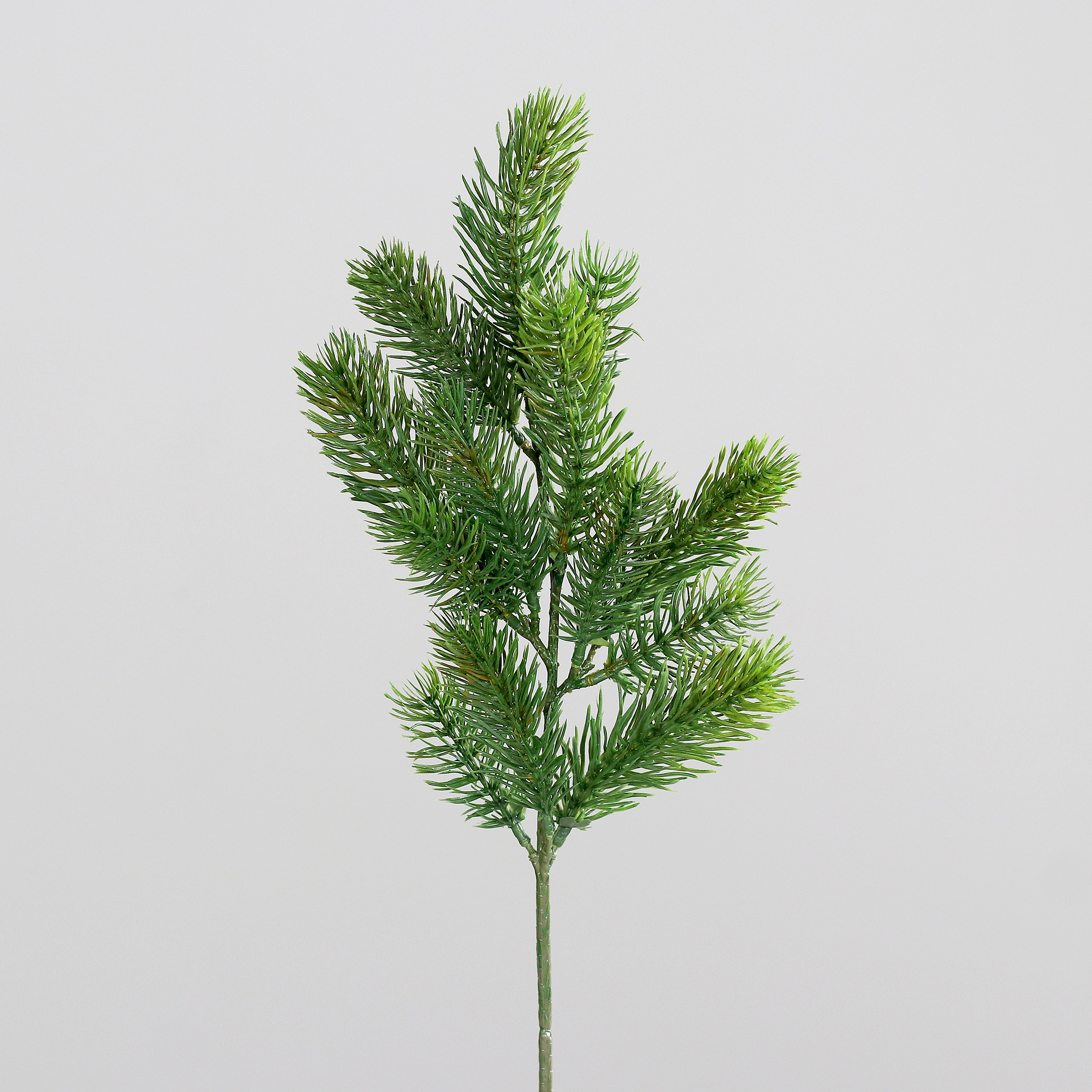 Edeltannenzweig x13 Tips - grün, 50 cm