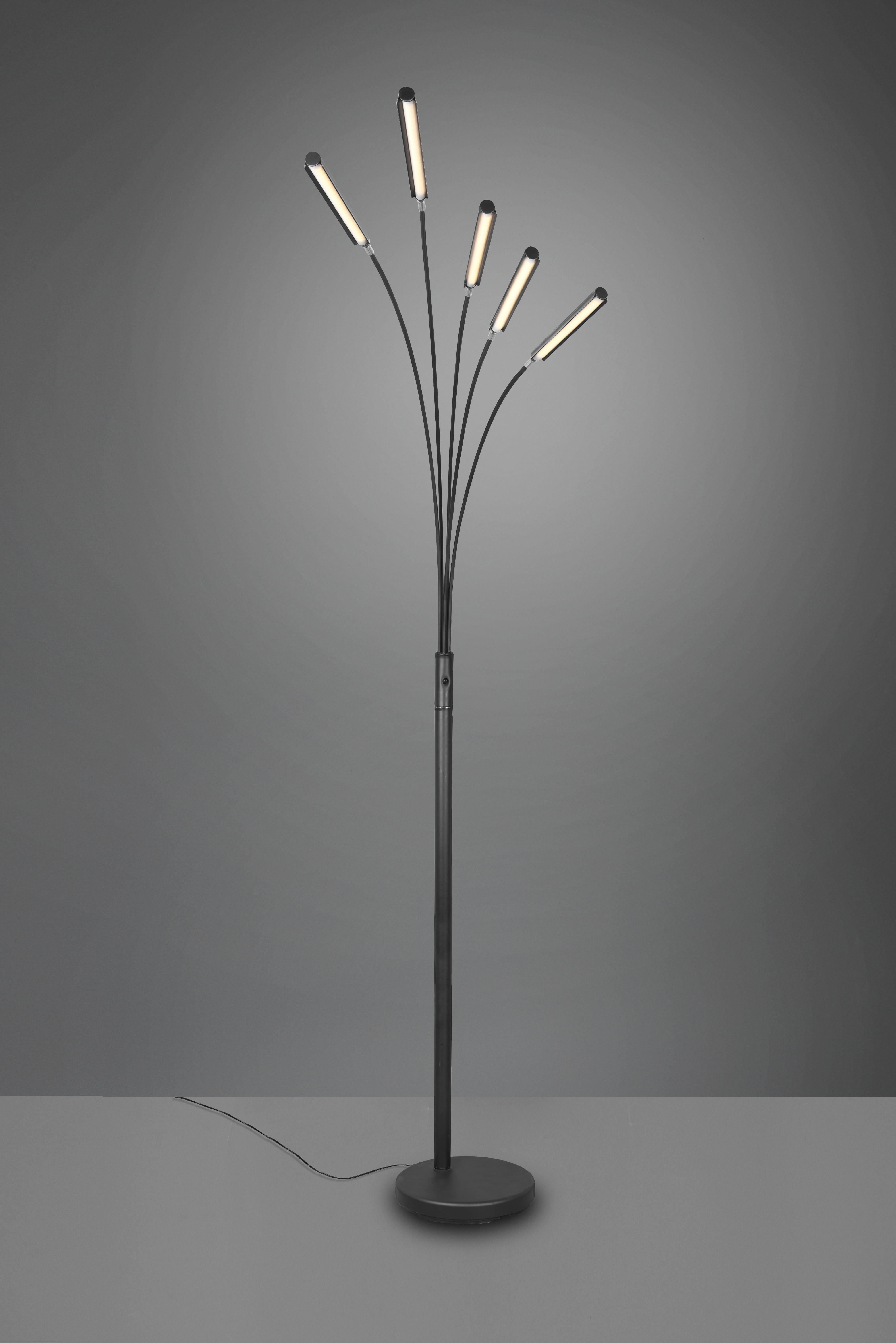Stehleuchte Reed - 5flg., Metall/schwarz matt, ca.30,5 x 195,5cm