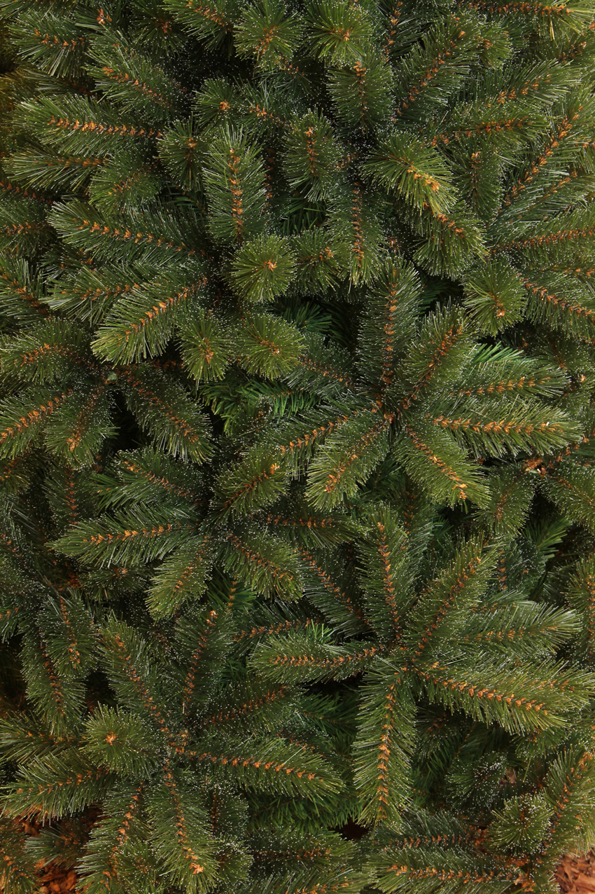Tannenbaum Waldkiefer - TIPS 942 - h185xd130cm