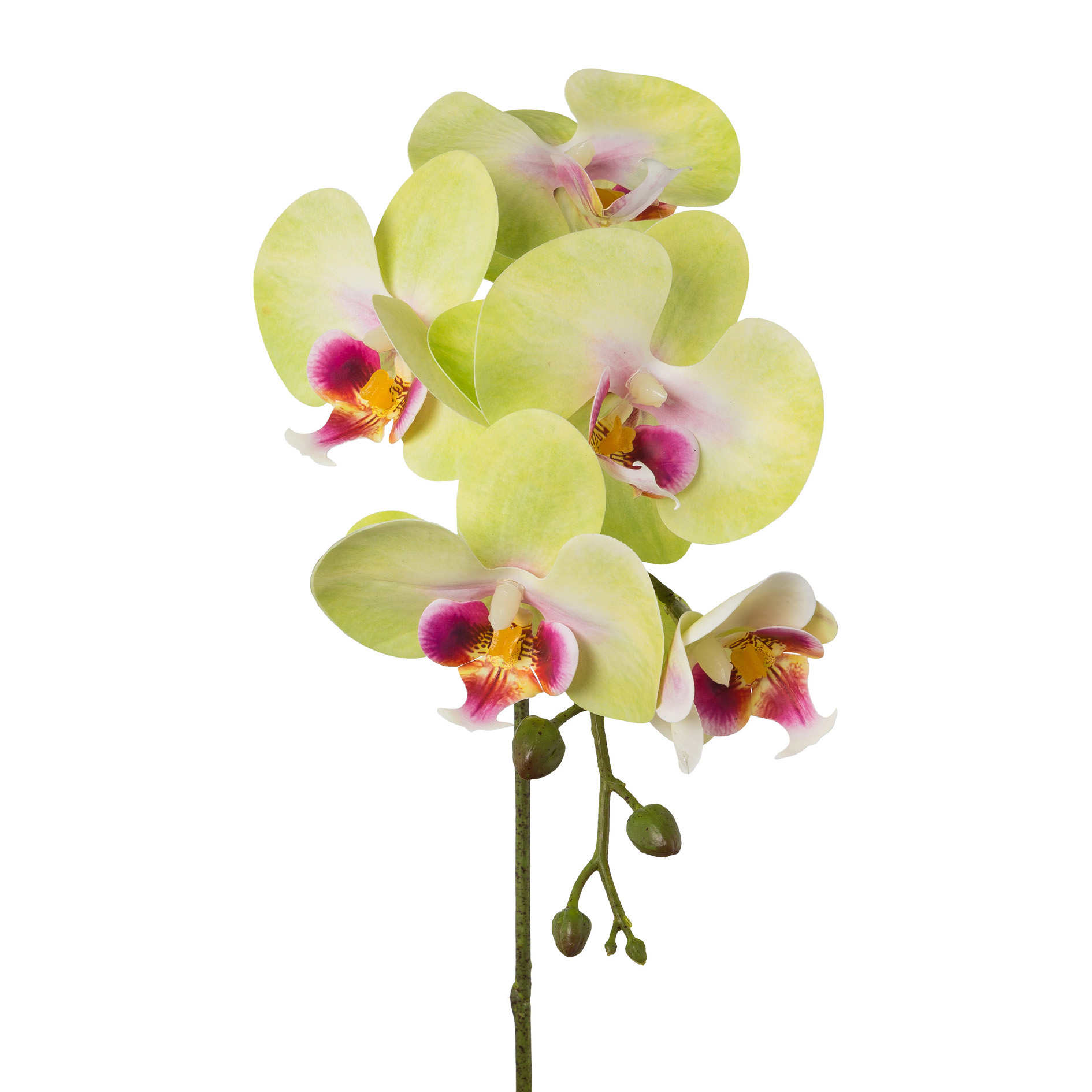 Kunstorchidee - Phalaenopsis x 5, 45cm, grün-rosa