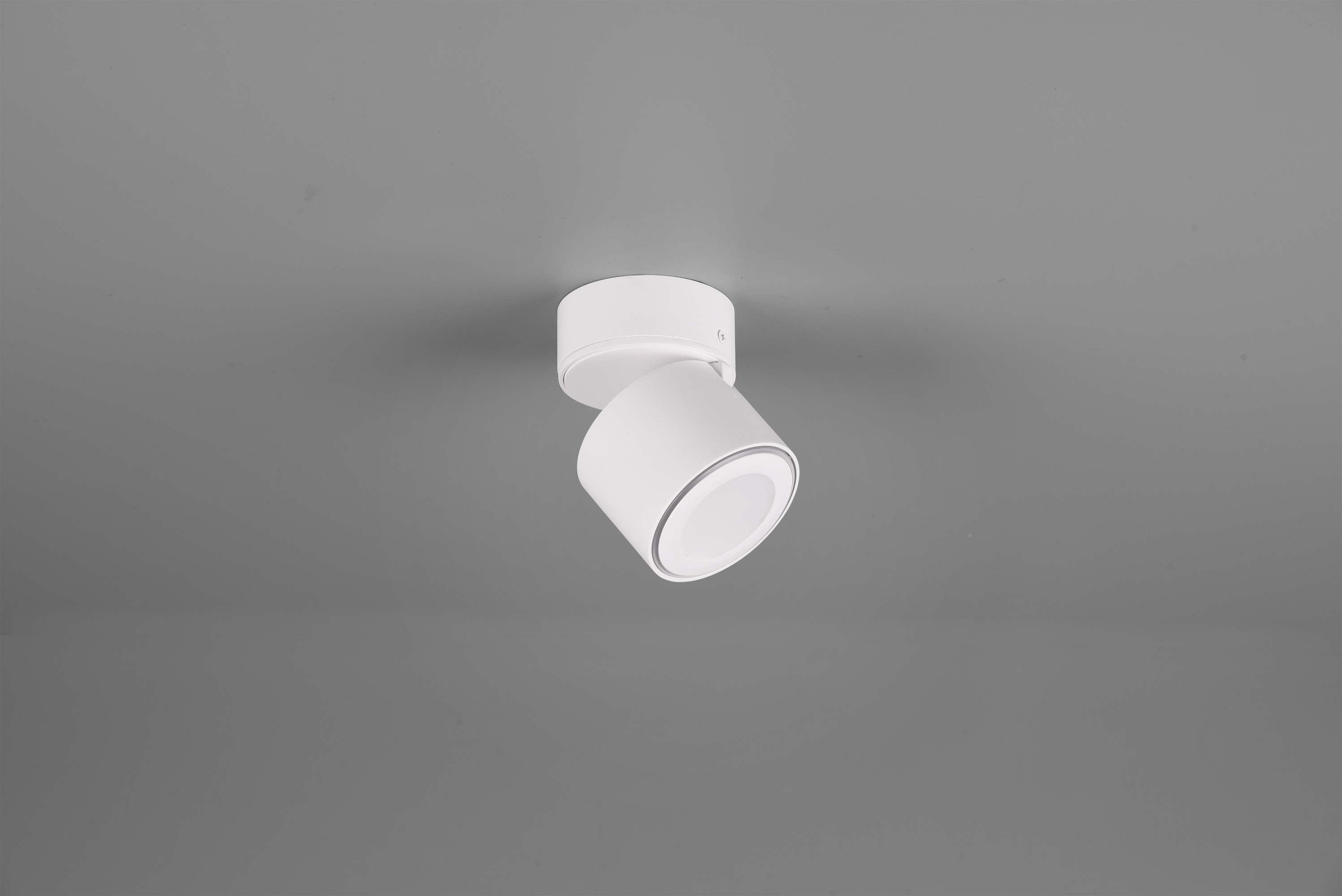 Deckenleuchte Taurus - 1flg., Metall/weiß matt,10,9xØ8,7cm