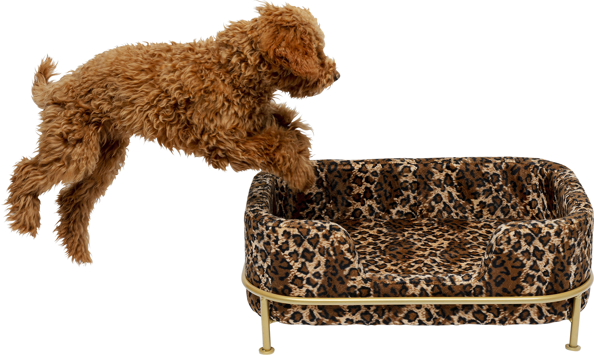 Hund/Katzenbett Diva Leo, Samtoptik - Möbel