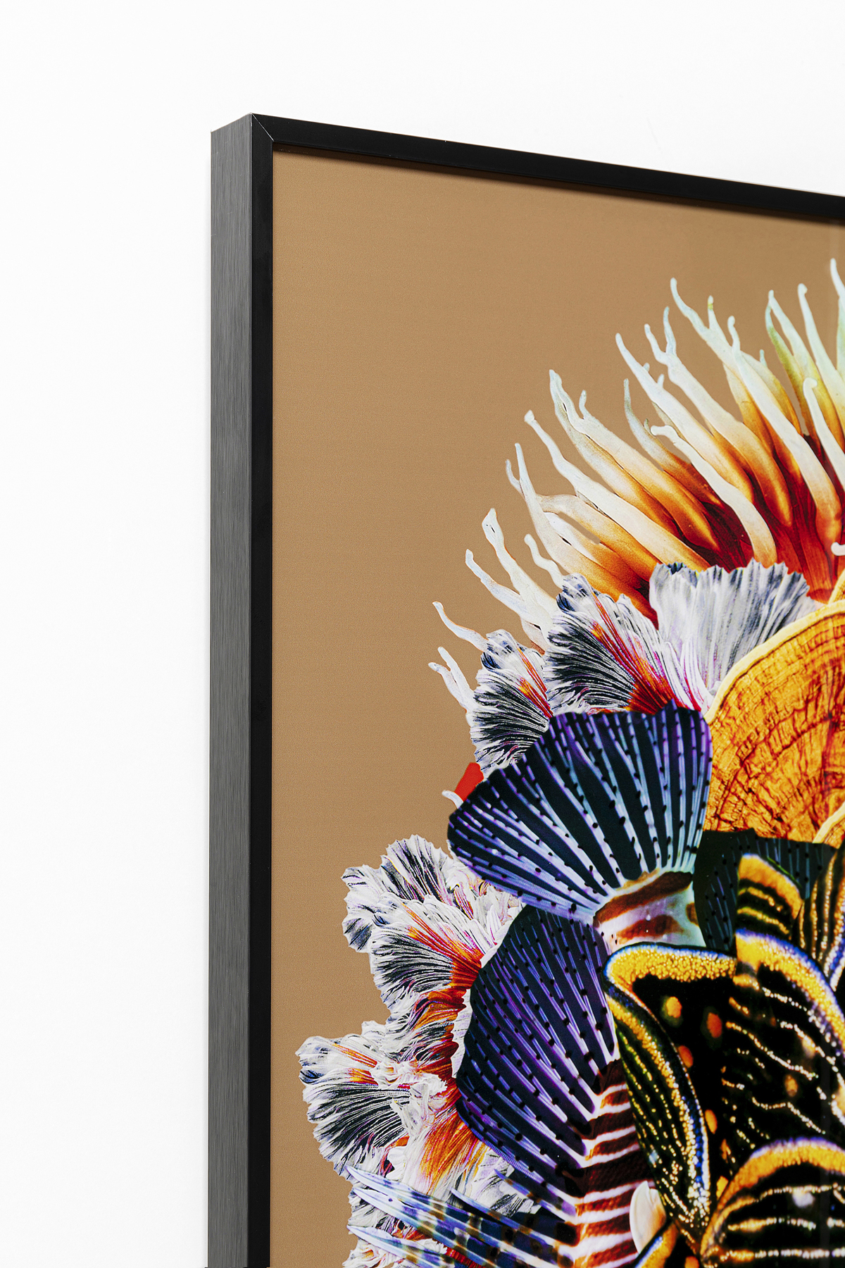 Gerahmtes Bild Flower Hair - Accessoires