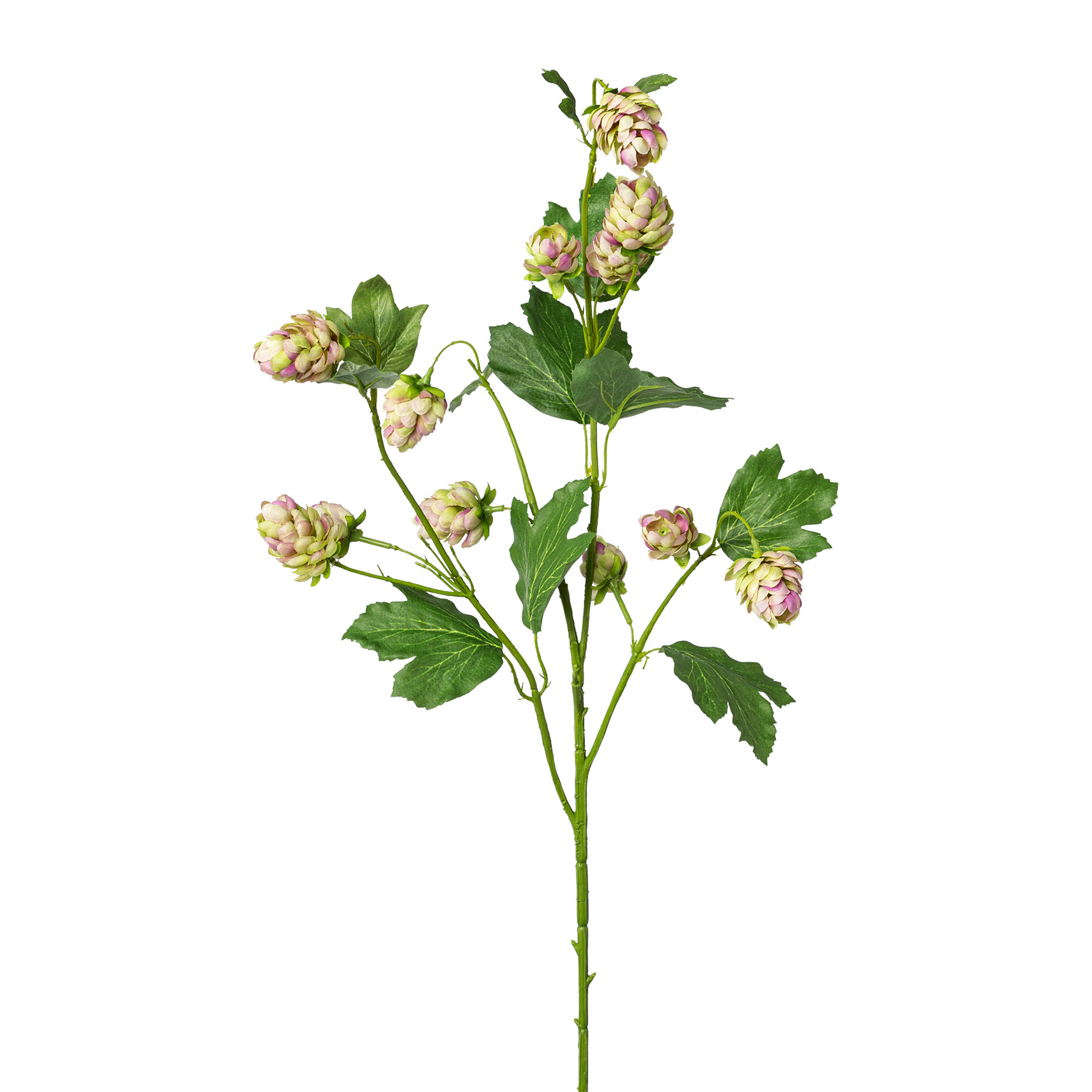 Kunstpflanze - Hopfen, 77 cm,  grün-rosa