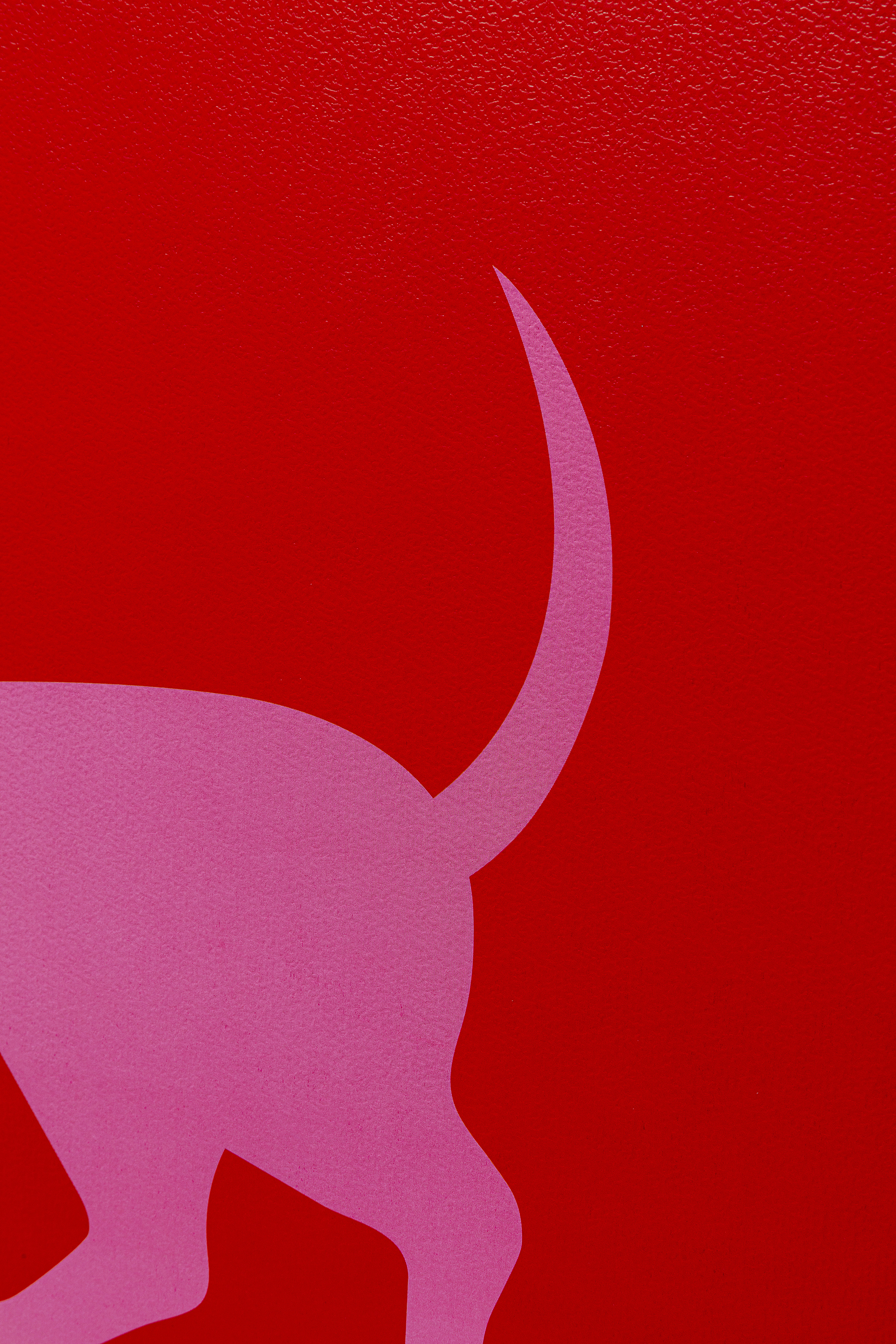 Gerahmtes Bild Dog Frankie, 2-er Set - Bilder