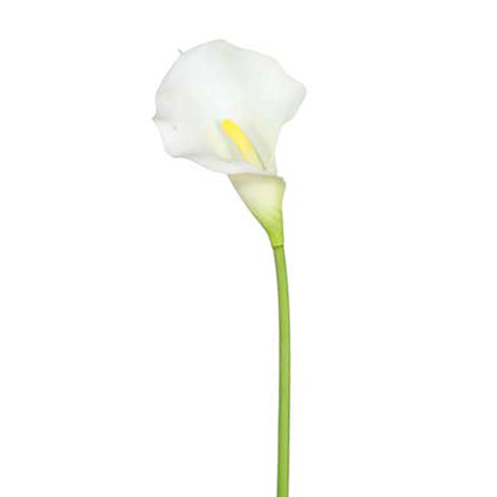 Kunstblume - Calla, 66 cm, weiß