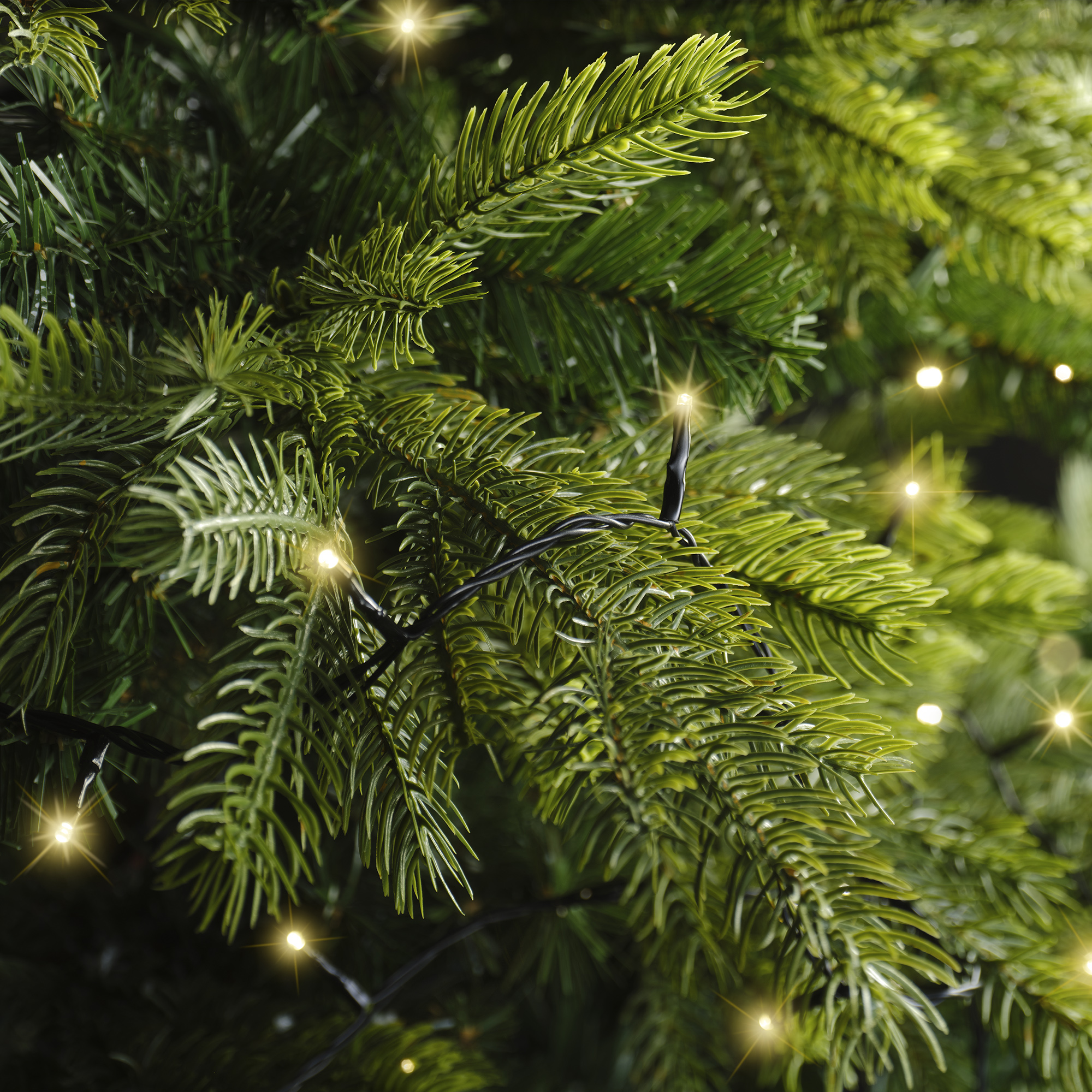 LED Compact Beleuchtung - Grün/Soft gold, PVC, 750cm-350L