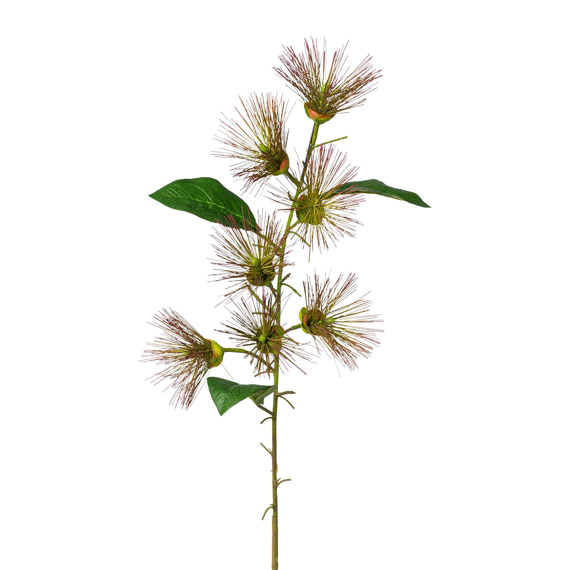 Kunstpflanze - Callistemon, 99 cm