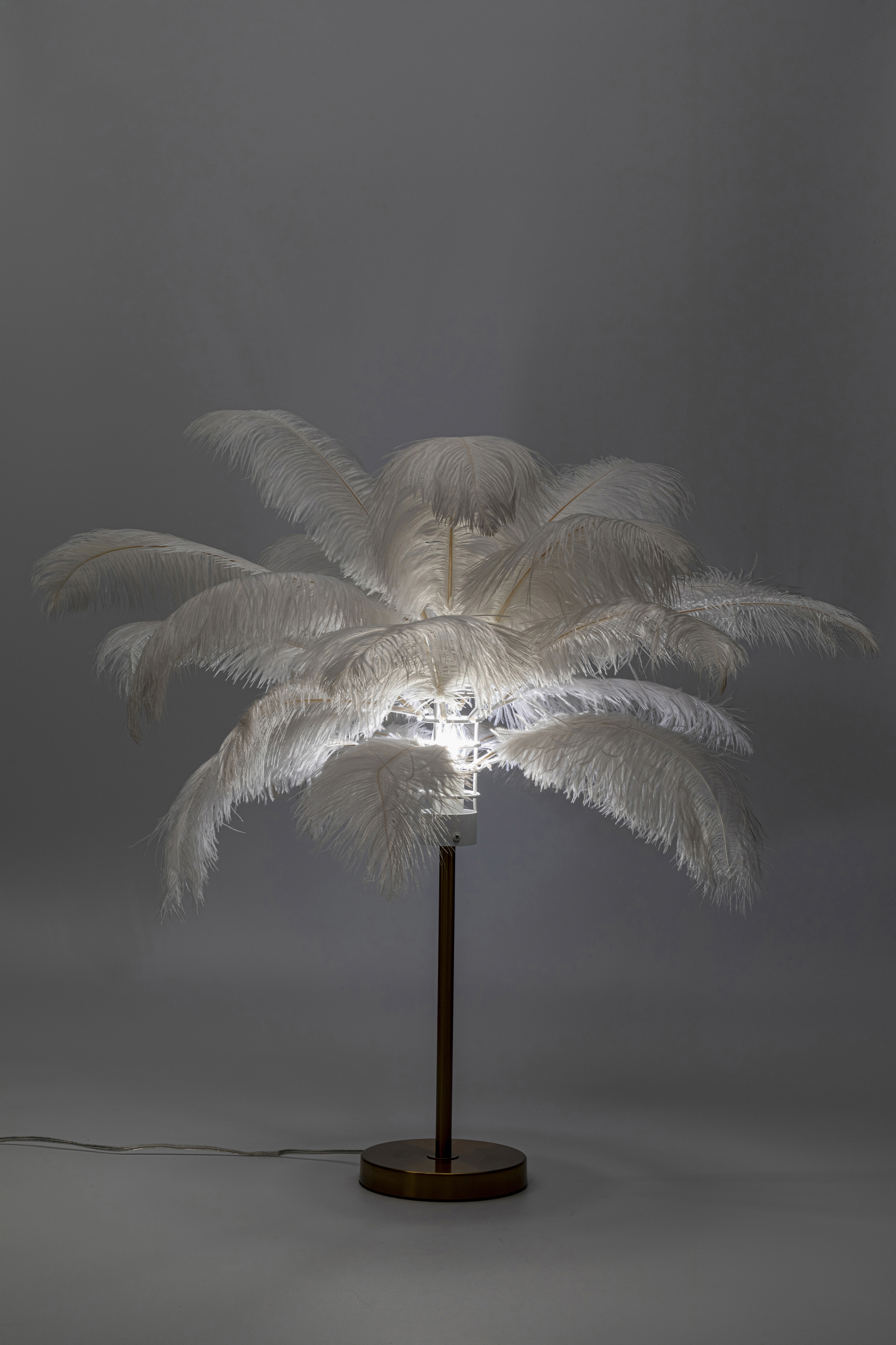 Tischleuchte Feather Palm, weiß, messing - Leuchten