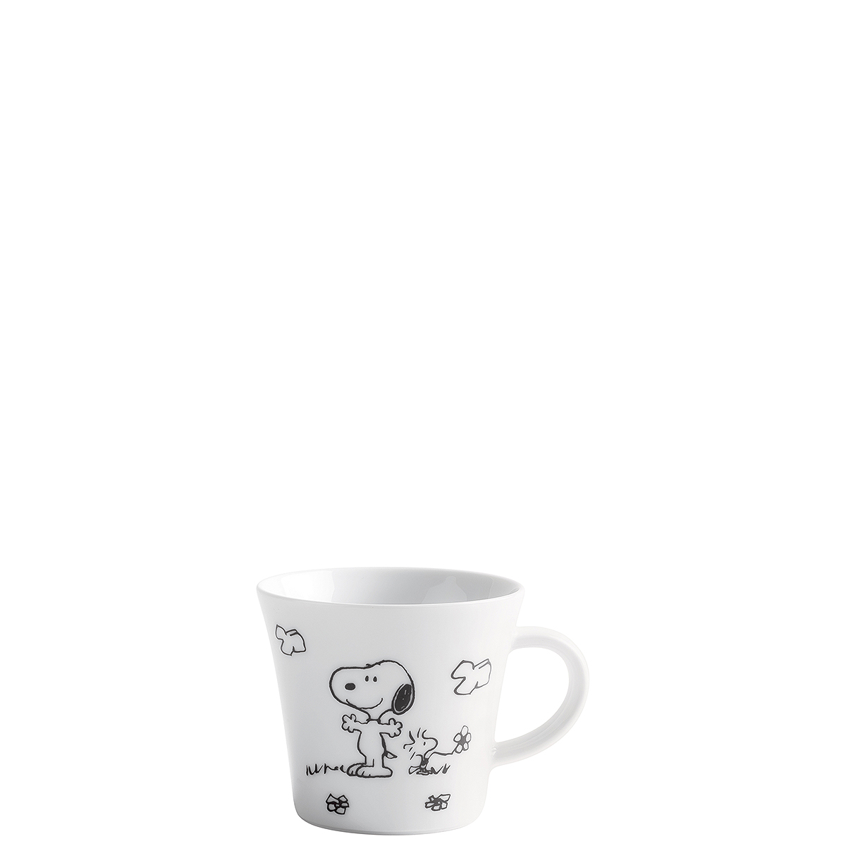 Tasse  - Update