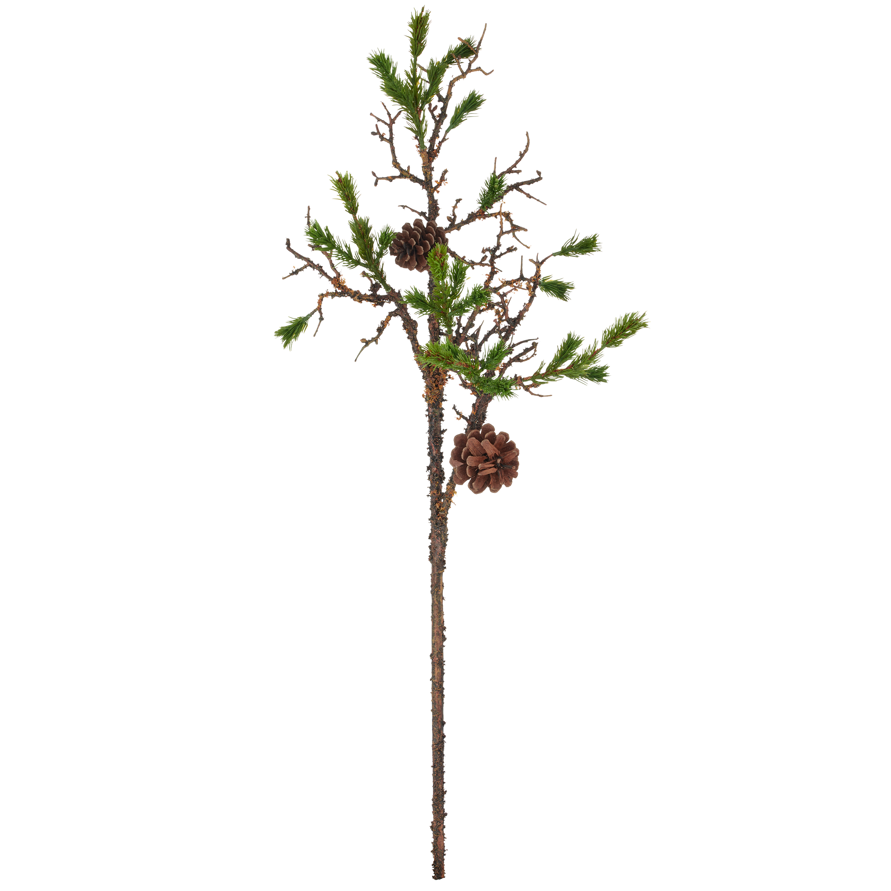 Kiefernzweig, mit Naturzapfen - grün, 82cm