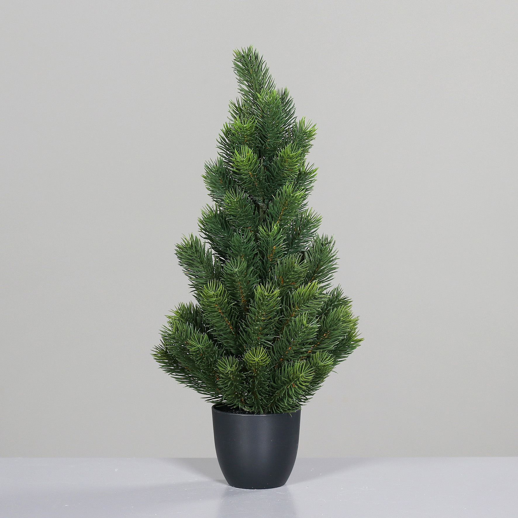Tannenbaum - im schwarzem Kunststofftopf, 50 cm
