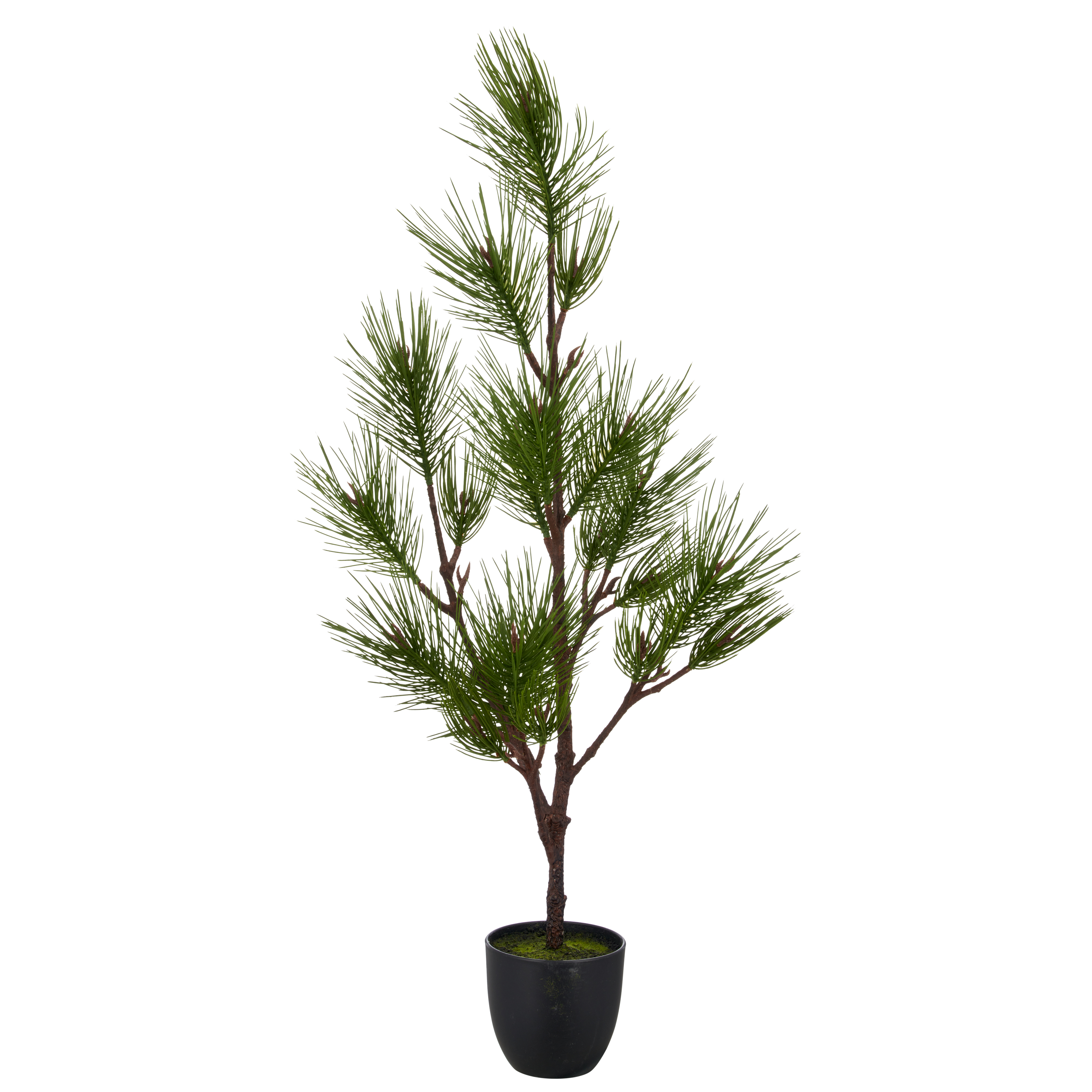 Kiefernbaum, 100cm - grün, in kunststofftopf schwarz