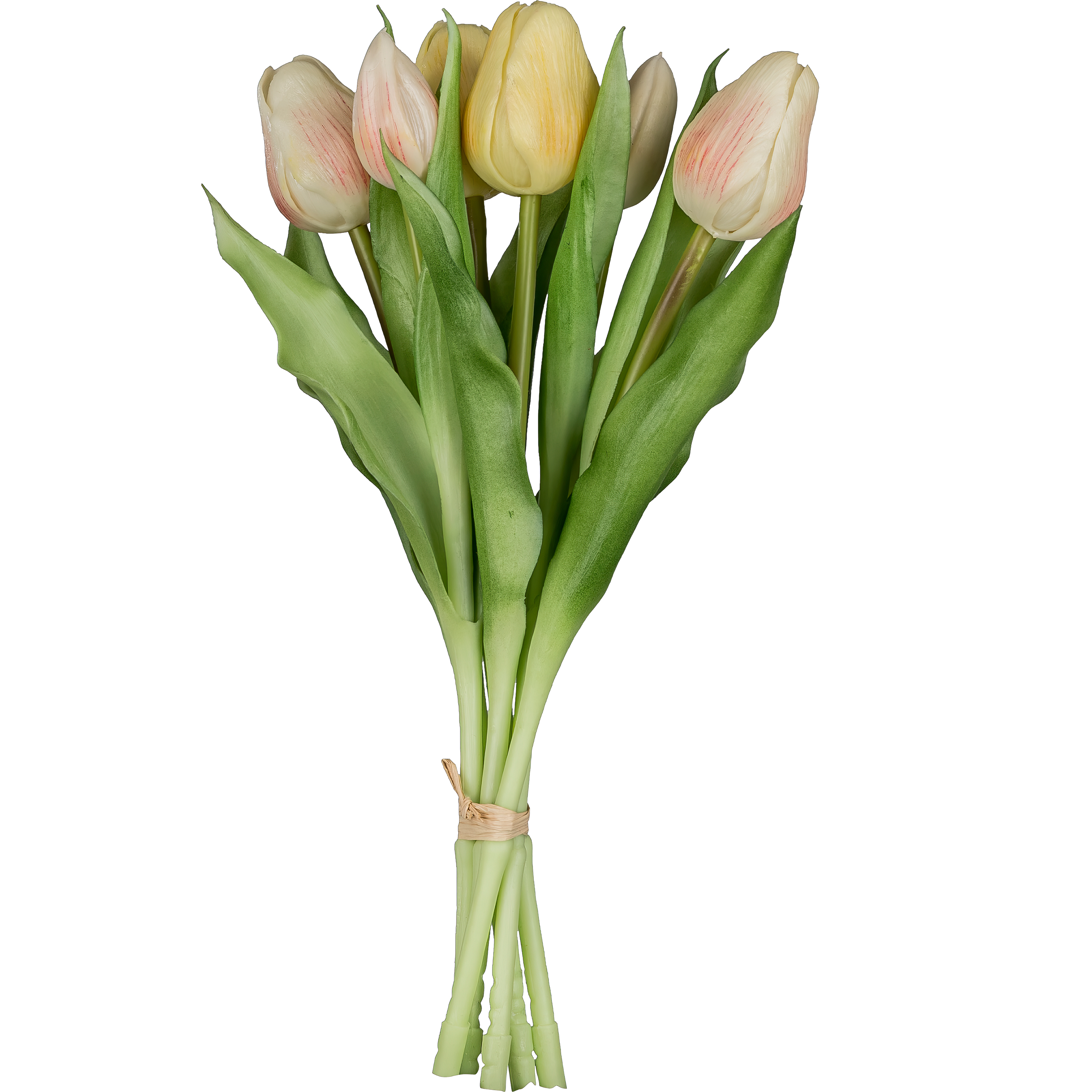 Tulpenbund, hellgelb - 32cm