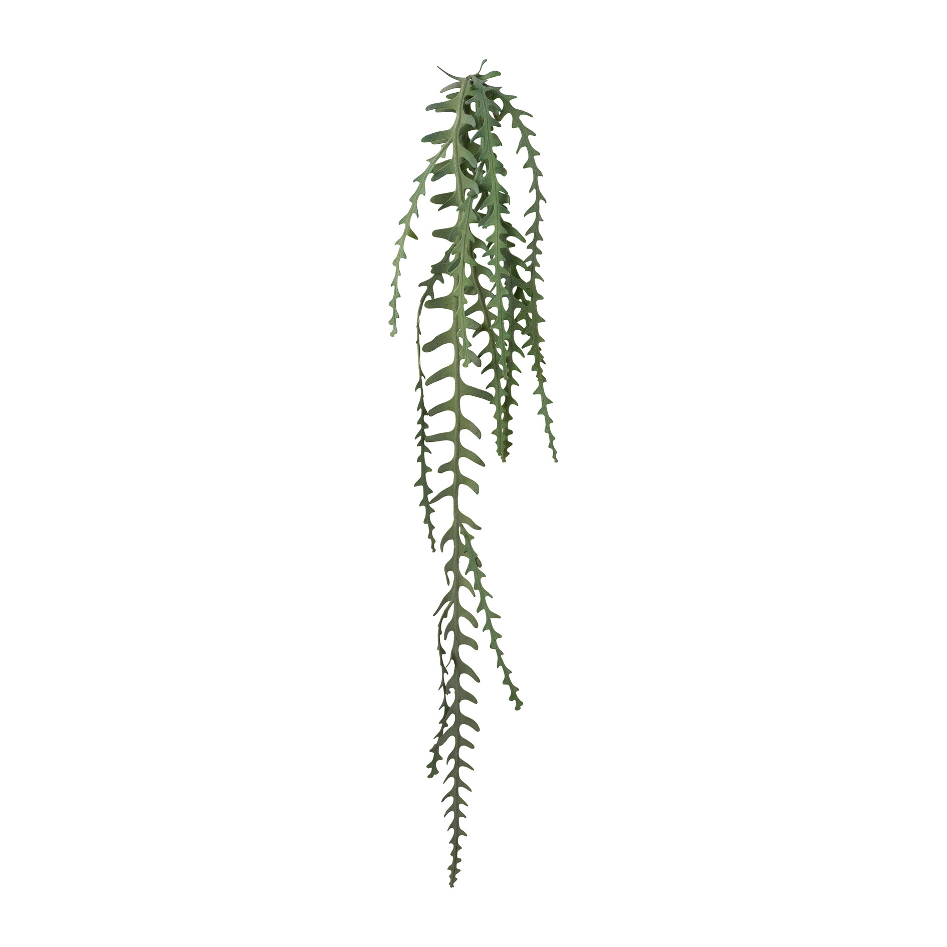 Kunstpflanze - Epiphyllumranke, 131 cm