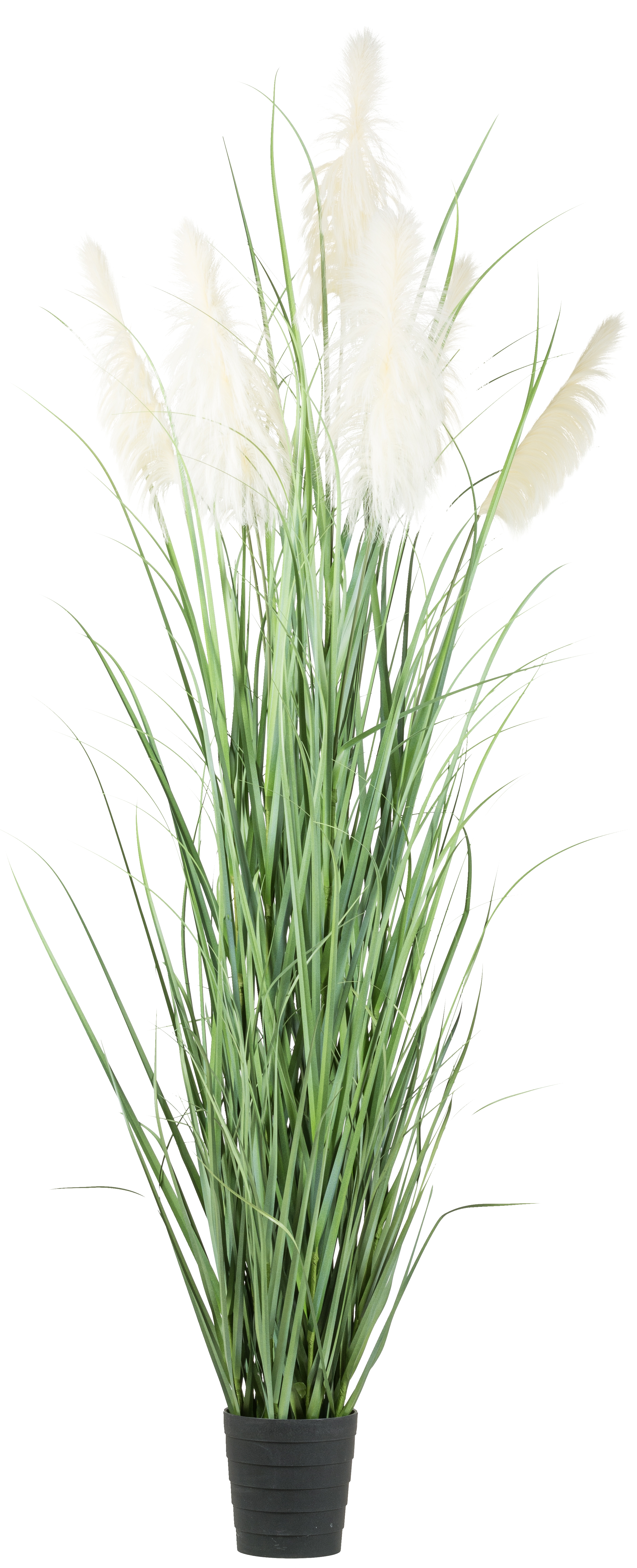 Kunstgras - Pampasgras x7, ca 270cm, Topf 24,5x25,5cm