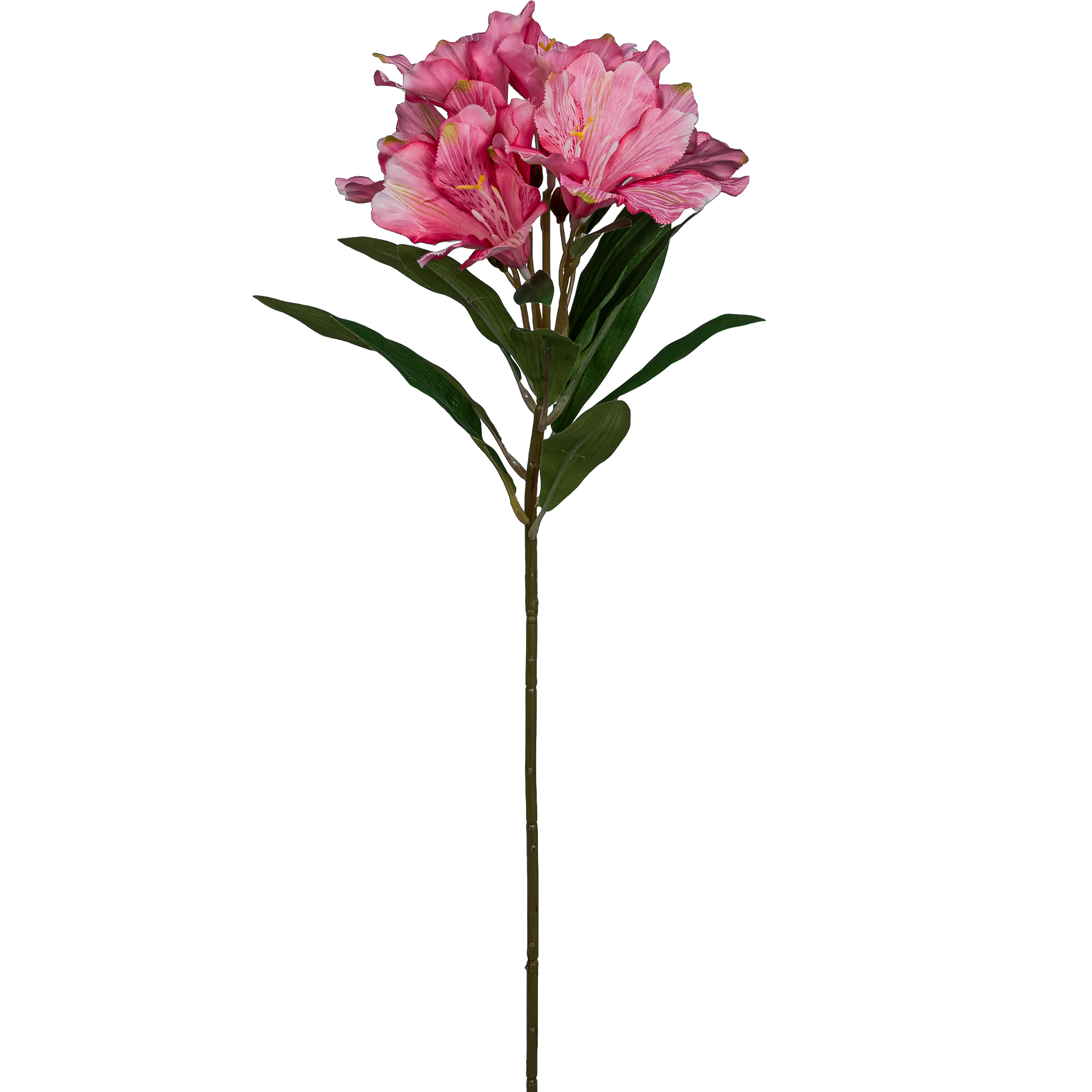 Alstromeria - 62cm, pink