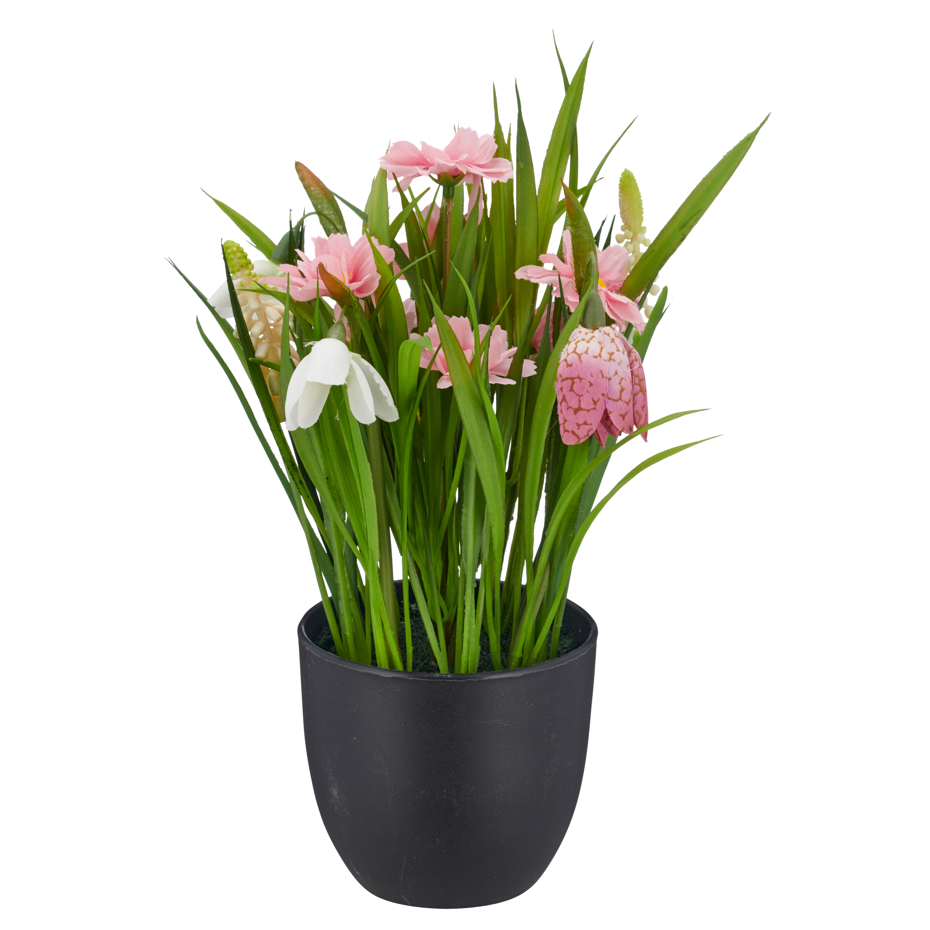 Frühlingsblumen, 23cm, rosa - im schwarzen Kunststofftopf 9,5x9,5x9cm