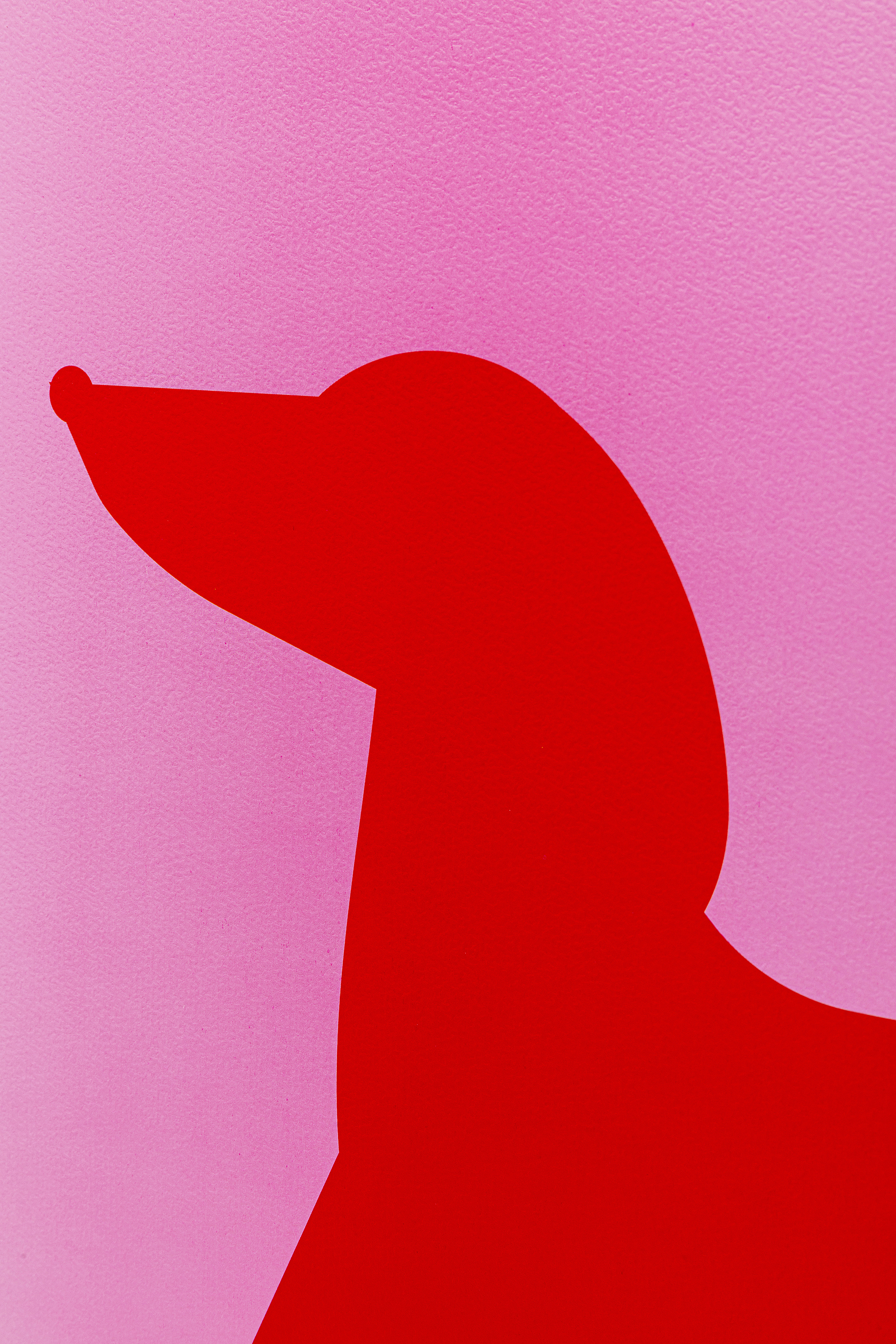 Gerahmtes Bild Dog Frankie, 2-er Set - Bilder