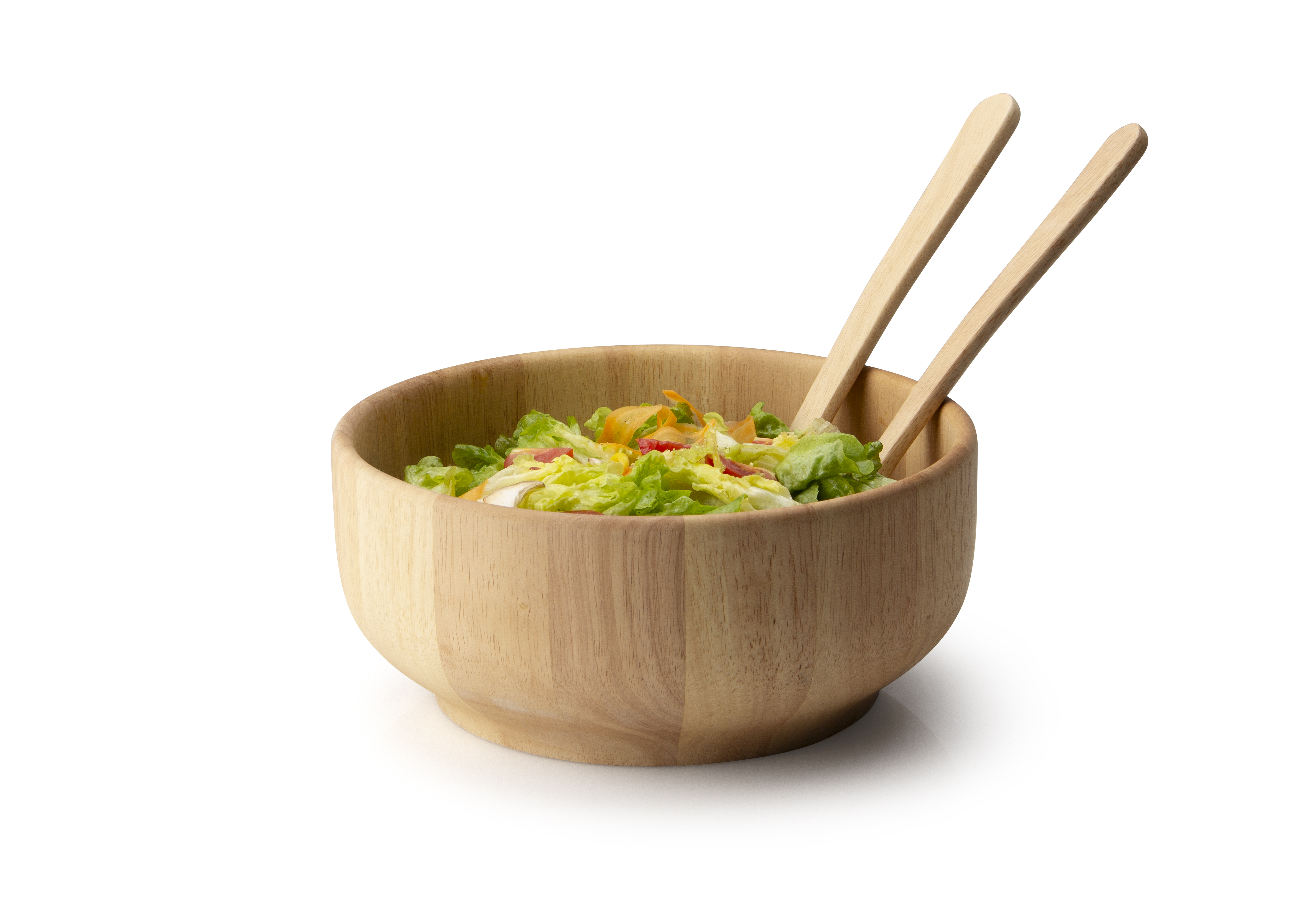 Schüssel  Gummibaum - Ø 29 x 12,5 cm