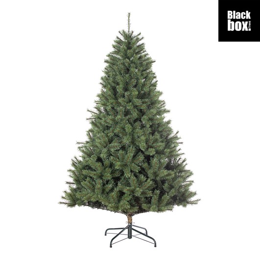 Tannenbaum Norwood - TIPS 550 - h155xd97cm